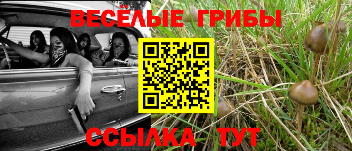 наркотики  Вход с VPN  Ялта  Псилоцибиновые грибы Cubensis 