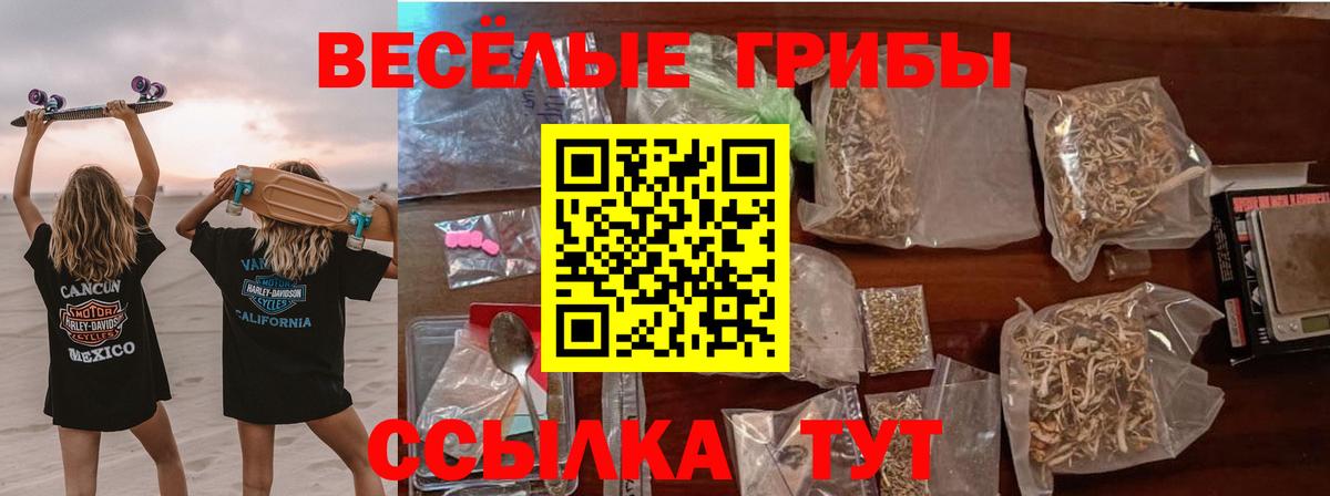 Галлюциногенные грибы мицелий Ялта